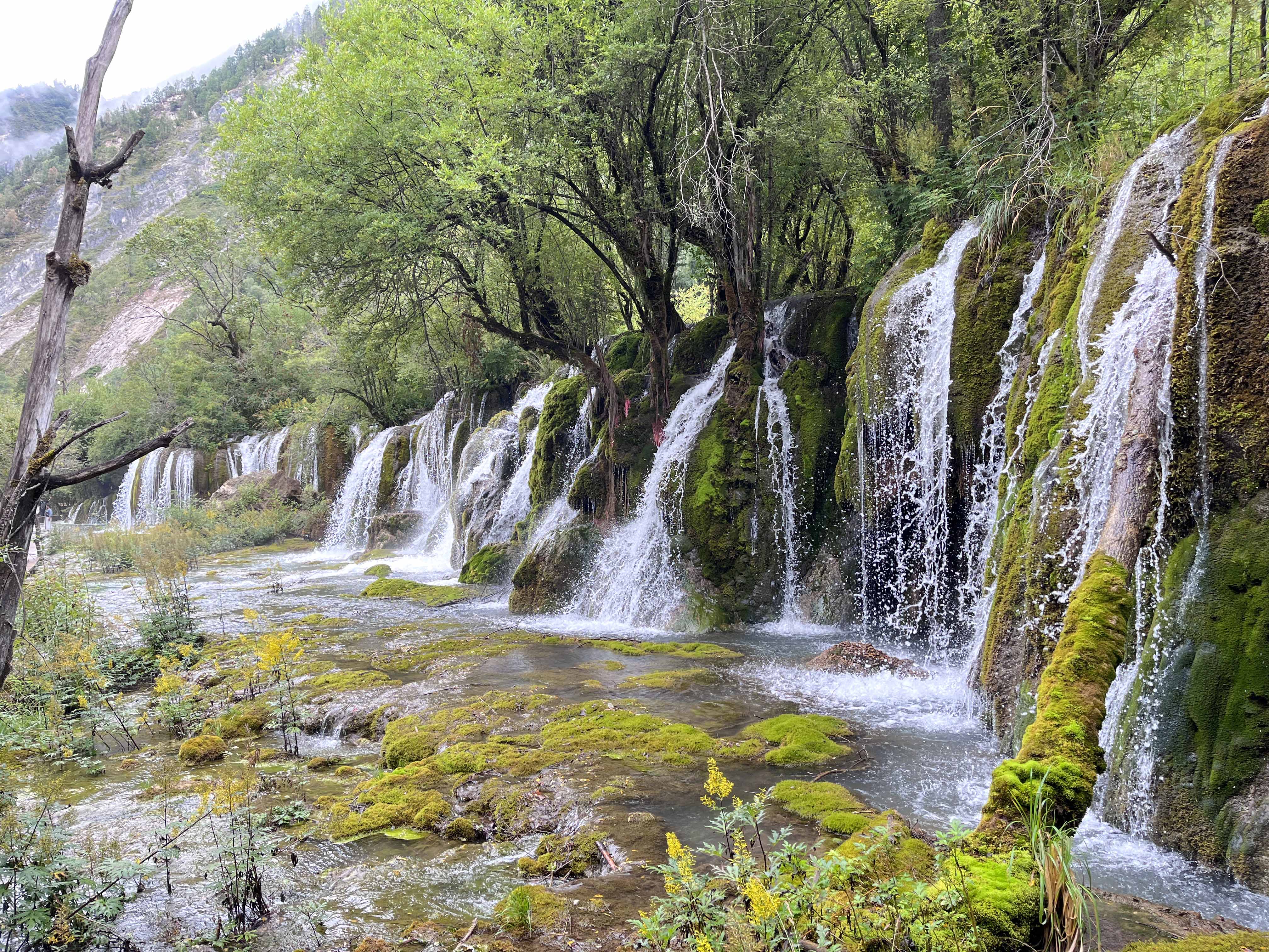 九寨溝1 九寨溝1